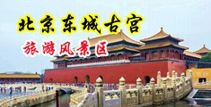 騷騙黄色片免费中国北京-东城古宫旅游风景区