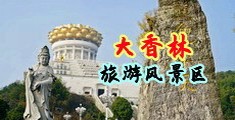 插b视频免费试看中国浙江-绍兴大香林旅游风景区